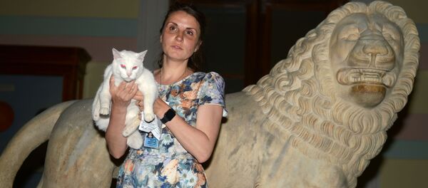 Ветеринарный врач Эрмитажа Анна Кондратьева и кот-оракул Ахилл - Sputnik Беларусь