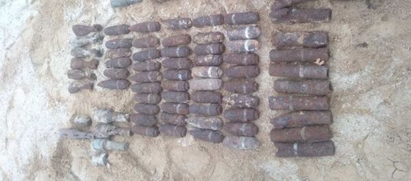 Найденные в лесу боеприпасы Найденные в лесу боеприпасы - Sputnik Беларусь