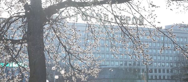 Такого не было 30 лет: синоптики объяснили, почему зима в Беларуси как весна - Sputnik Беларусь