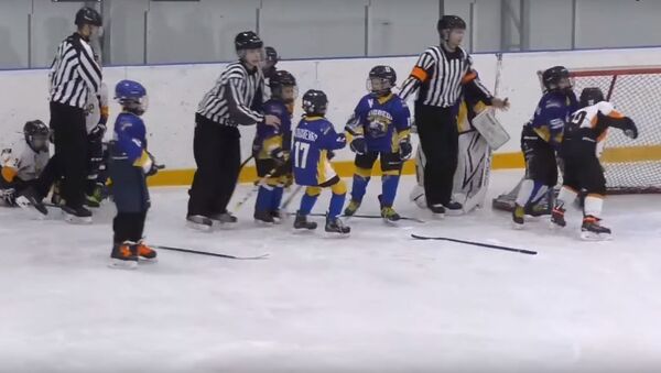 Массовая драка на детском хоккейном матче, видео - Sputnik Беларусь