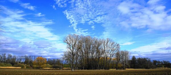 Весенняя погода, архивное фото - Sputnik Беларусь