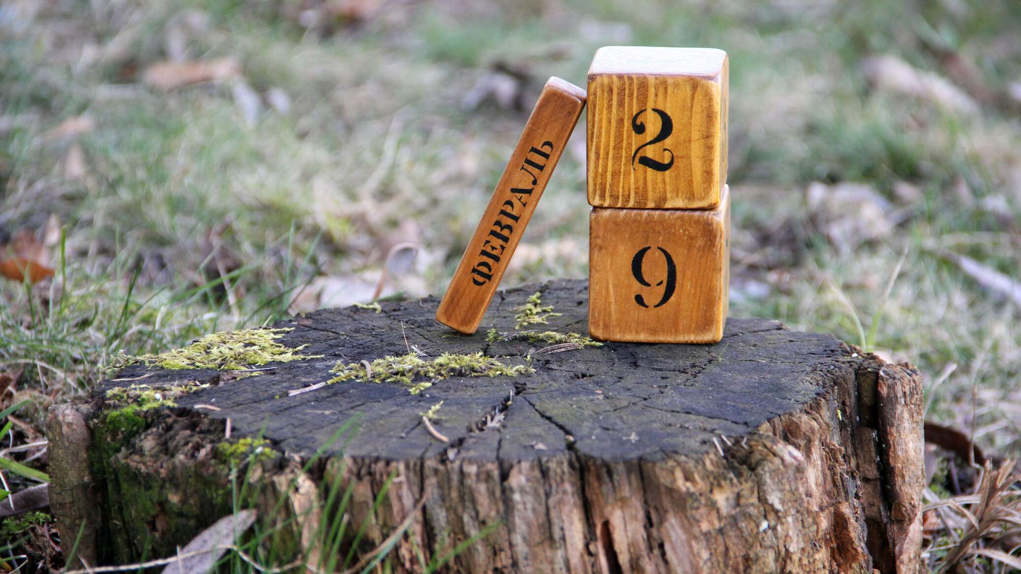 29 февраля. 29 февраль високосный день. 29 февраля 2024 фото. 29 февраля 2024 фото. 2024 год високосный.