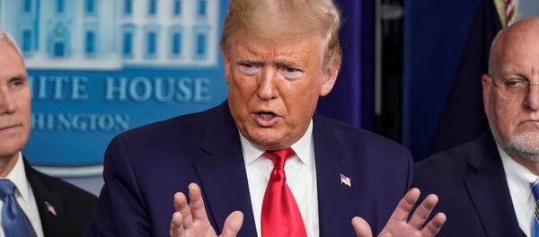 Президент США Дональд Трамп на пресс-конференции Президент США Дональд Трамп на пресс-конференции - Sputnik Беларусь