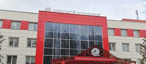 Витебский меховой комбинат  - Sputnik Беларусь