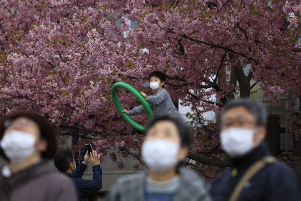 Люди в масках на фестивале цветения вишни в Японии - Sputnik Беларусь