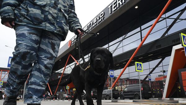 Кинолог с собакой обходит территорию у нового международного терминала С в аэропорту Шереметьево - Sputnik Беларусь