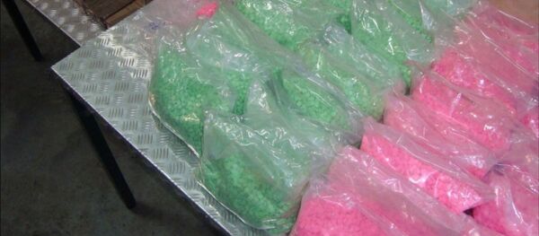 Иностранец провозил через границу особо опасные наркотики и психотропы - Sputnik Беларусь