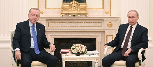 Президент РФ В. Путин встретился с президентом Турции Р. Эрдоганом - Sputnik Беларусь