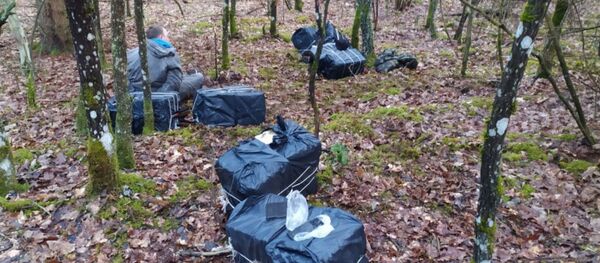  Военнослужащие Лидского погранотряда с применением оружия задержали правонарушителя на границе - Sputnik Беларусь