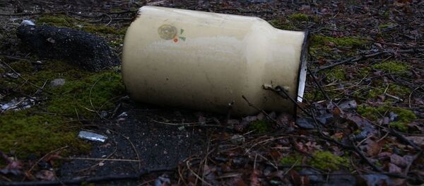 Трогательная история затерявшихся в радиации деревенек - Sputnik Беларусь