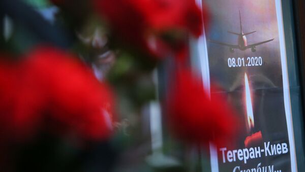 Цветы у посольства Ирана в Киеве в память о жертвах авиакатастрофы - Sputnik Беларусь