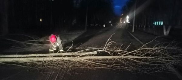 Последствия непогоды в Беларуси - Sputnik Беларусь