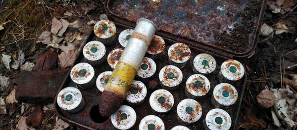 На Гомельщине нашли боевой арсенал времен войны, принадлежавший немецкой армии - Sputnik Беларусь