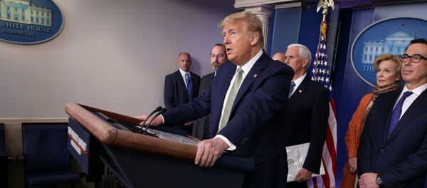 Президент США Дональд Трамп на брифинге в Белом доме, архивное фото - Sputnik Беларусь