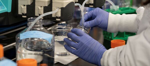 Исследование коронавируса Исследование коронавируса - Sputnik Беларусь