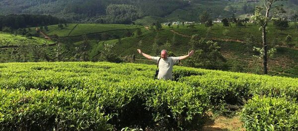 Отдых на Шри-Ланке - Sputnik Беларусь