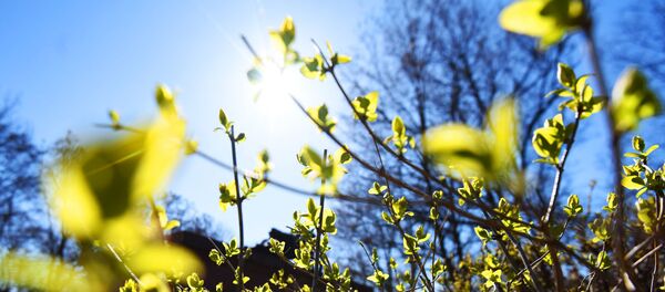 Весна в парке - Sputnik Беларусь