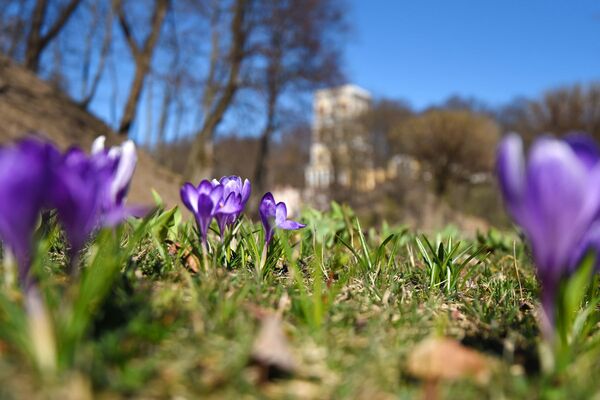 Весна в парке - Sputnik Беларусь
