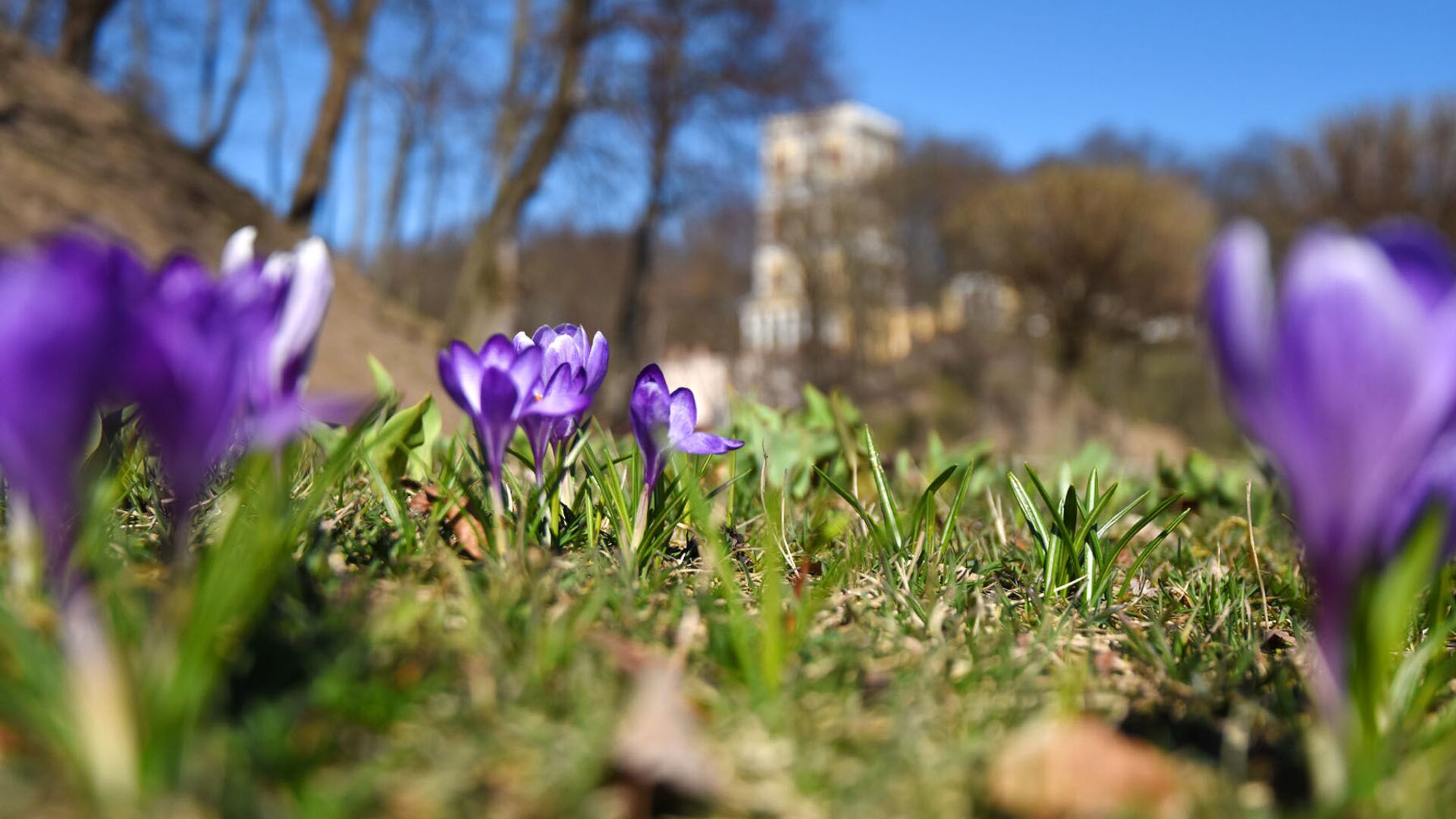 Весна в парке - Sputnik Беларусь, 1920, 03.04.2022