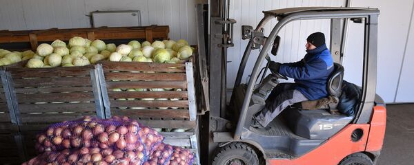 На овощных складах в УП Партизанское, архивное фото - Sputnik Беларусь