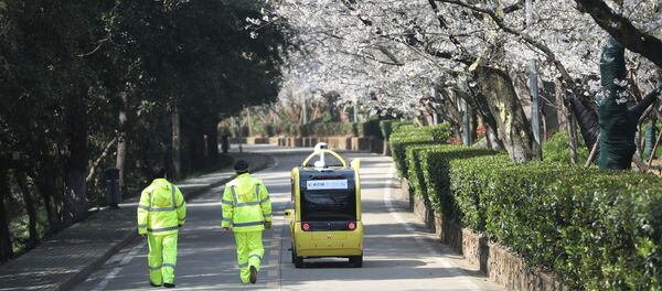 На территории университета Уханя, провинция Хубэй - Sputnik Беларусь