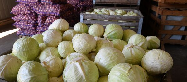 Коронавирус без картошки не оставит: посмотрите на овощные запасы Минска Коронавирус без картошки не оставит: посмотрите на овощные запасы Минска - Sputnik Беларусь