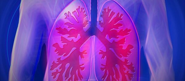 Легкие человека - Sputnik Беларусь