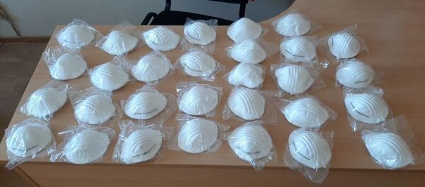 Защитные маски, изъятые в Могилеве - Sputnik Беларусь