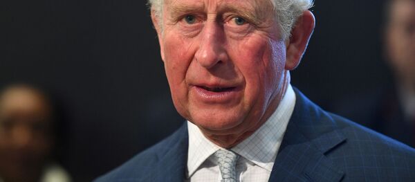 Принц Чарльз, архивное фото Принц Чарльз, архивное фото - Sputnik Беларусь
