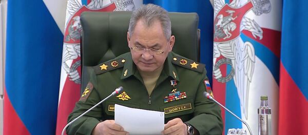 Шойгу рассказал, для чего нужна антивирусная проверка армии - видео - Sputnik Беларусь
