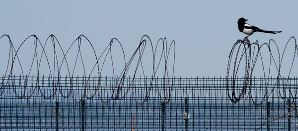 В международном аэропорту Пекина - Sputnik Беларусь