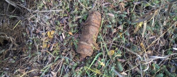 Боеприпас, найденный на участке - Sputnik Беларусь