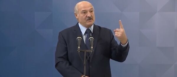 Лукашенко: когда закончится коронавирус, я вам много интересного расскажу - Sputnik Беларусь