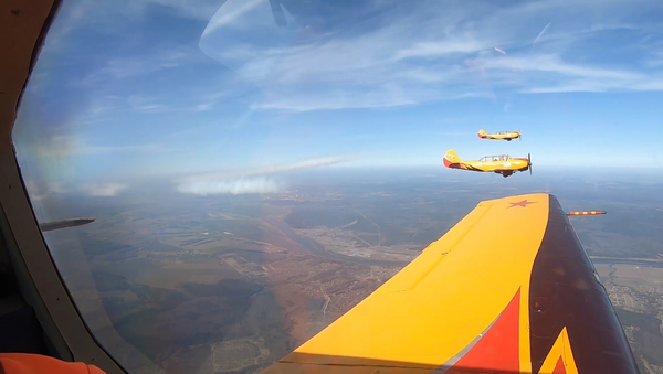 Оставайся дома: высший пилотаж и авиашоу со смыслом  - Sputnik Беларусь