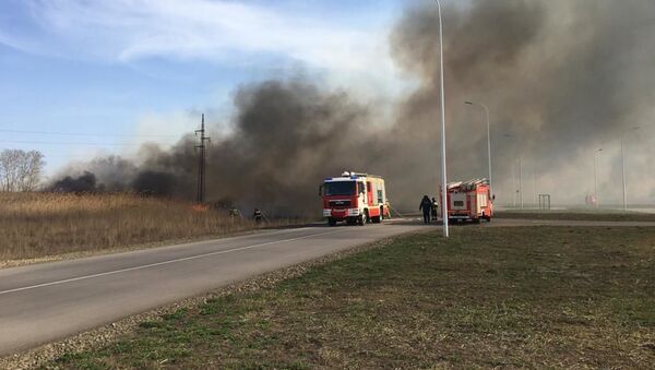 Пожар сухой травы в Ростове - Sputnik Беларусь