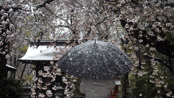 В Токио выпал снег - Sputnik Беларусь