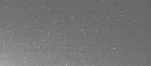 Спутники Starlink Илона Маска опять впечатлили белорусов - Sputnik Беларусь