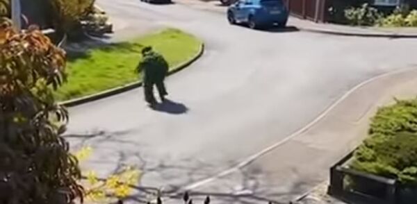 Британец замаскировался под куст, чтобы нарушить карантин  - Sputnik Беларусь