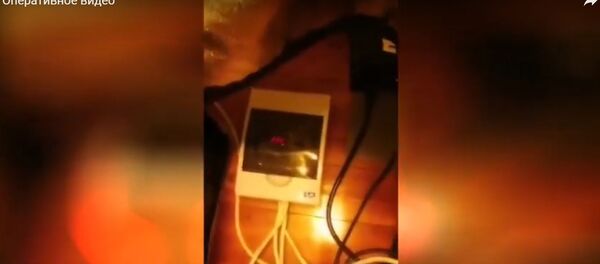 МВД показало квартиру ботаника, выращивавшего в Минске марихуану - Sputnik Беларусь