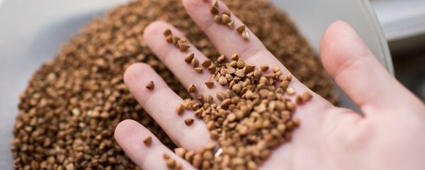 Гречневая крупа, архивное фото Гречневая крупа, архивное фото - Sputnik Беларусь