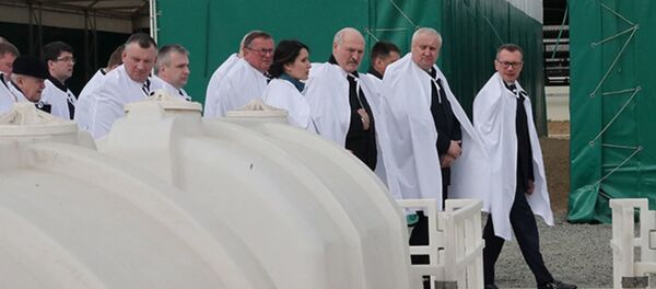 Президент Беларуси Александр Лукашенко во время посещения Смолевичского района - Sputnik Беларусь