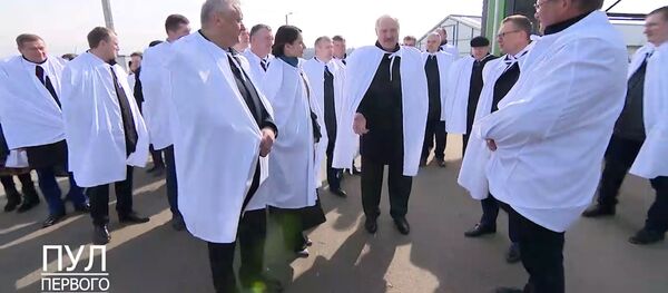 Лукашенко рассказал о своей ферме и новом лекарстве от коронавируса - Sputnik Беларусь