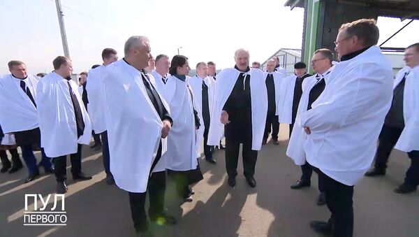 Лукашенко рассказал о своей ферме и новом лекарстве от коронавируса - Sputnik Беларусь