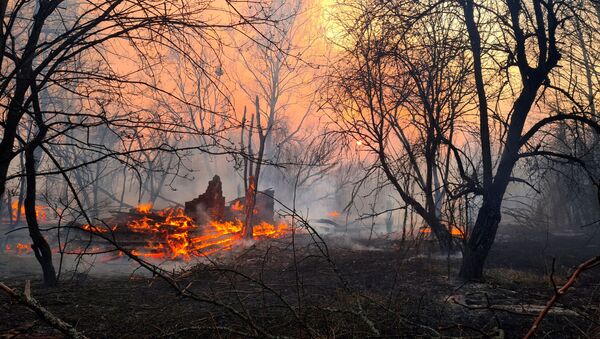 Пожар неподалеку от села Раговка - Sputnik Беларусь