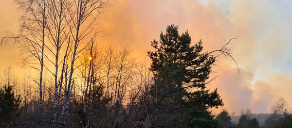 Пожар в зоне отчуждения Чернобыльской АЭС  - Sputnik Беларусь