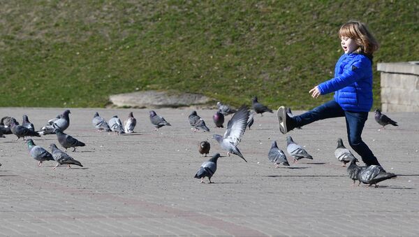 Мальчик гоняет голубей в городском сквере - Sputnik Беларусь