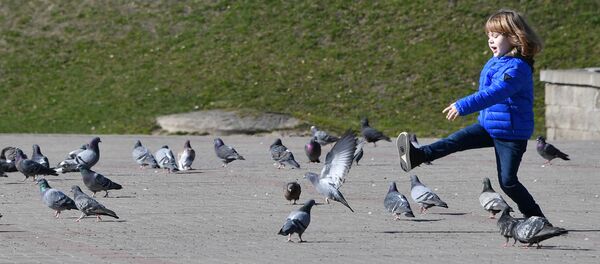 Хлопчык ганяе галубоў у гарадскім скверы - Sputnik Беларусь