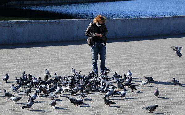 Женщина кормит голубей на набережной Свислочи - Sputnik Беларусь