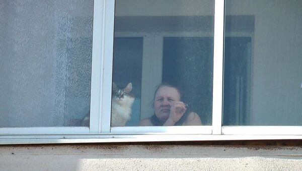 Женщина и кошка - Sputnik Беларусь