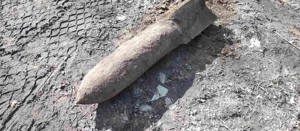 Найденный боеприпас - Sputnik Беларусь